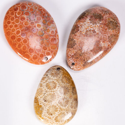 wholesale-fossilised-coral-pendants-for-sale
